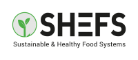 SHEFS Global