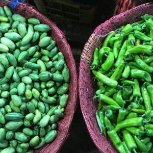 New SHEFS study links global environmental changes to future vegetable and legume production